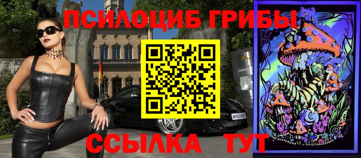 Галлюциногенные грибы мухоморы Димитровград